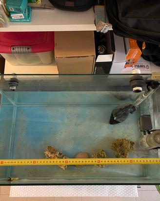 Acquario per piccoli reef forata con samp