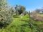 Immagine 16
