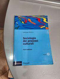 Sociologia dei processi culturali