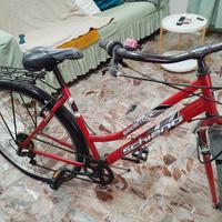 bicicletta da passeggio 