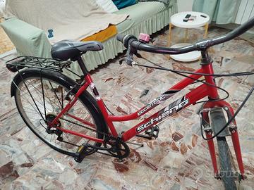 bicicletta da passeggio 