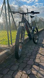 splendida raymon E SEVENTRAILRAY LTD2.0