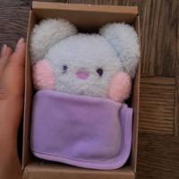 Peluche BT21 KOYA Mini - Originale Nuovo in Box