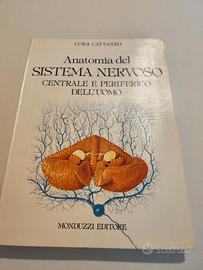 Anatomia del Sistema Nervoso - Cattaneo