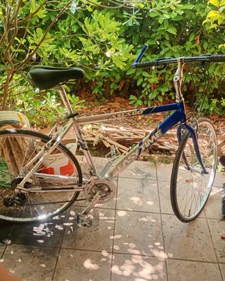 Bici da corsa