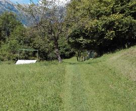 Terreno agricolo a bosco in Alpago