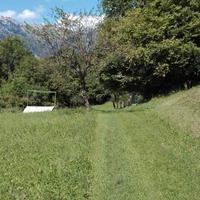 Terreno agricolo a bosco in Alpago