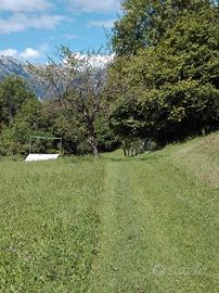 Terreno agricolo a bosco in Alpago