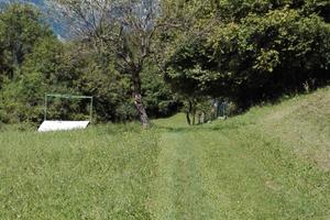 Terreno agricolo a bosco in Alpago