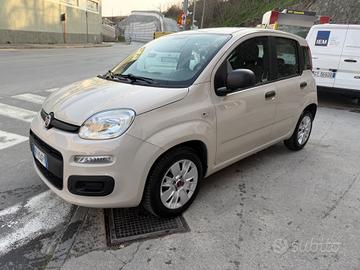 FIAT PANDA 1.2 NEOPATENTATI