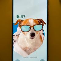 Samsung S22 ultra da 256GB