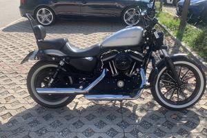 Sportster iron