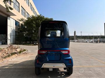 Auto elettrica disabili