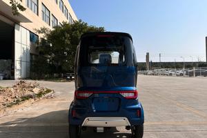 Auto elettrica disabili