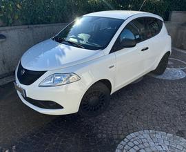 Lancia Ypsilon 1.2 69 CV 5 porte Elefantino Blu