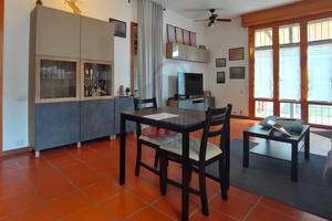 Indipendente a Rimini