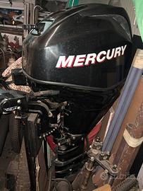Motore fuoribordo Mercury 25 EFI 