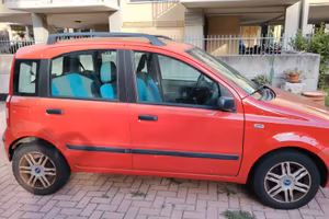panda