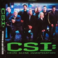 CSI - Lo scrigno di Lady Heather