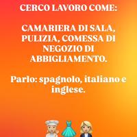 Lavoro come cameriera, pulizia, commessa