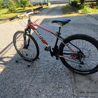 MTB Ragazzo - 25 "