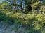 Immagine 25