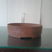 vaso bonsai artigianale 