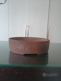 vaso bonsai artigianale 