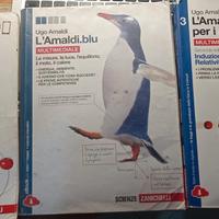 L'Amaldi blu , SCIENZE Volume 1 - 3