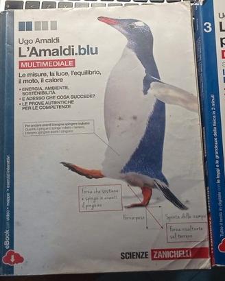 L'Amaldi blu , SCIENZE Volume 1 - 3
