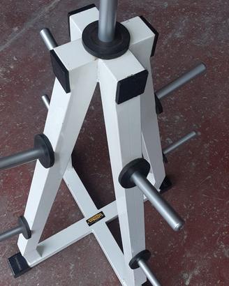 RASTRELLIERA PORTA DISCHI TECHNOGYM 28MM.
