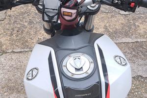 Benelli bn 251 abs