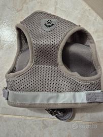 Pettorina con guinzaglio