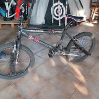 bicicletta tipo BMX