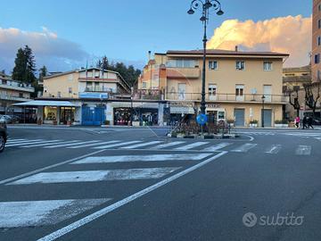 Locale Commerciale - Fiuggi