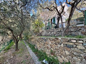 VILLA A SCHIERA A NOLI
