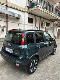 panda cross hybrid 2024