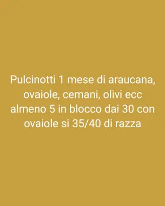 Avicoli