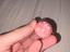 Immagine 5
