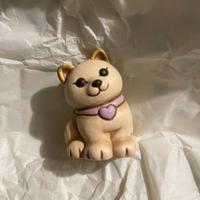 Thun gatto ed limitata bauli