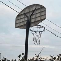 Canestro esterno professionale 