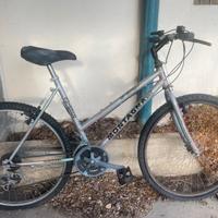 Mtb donna 26 montagna