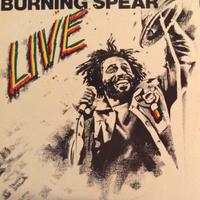 dischi vinile da collezione 