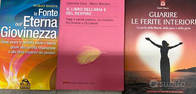 Maurin Daniel, Nobuo Shioya, Cella e Manzoni