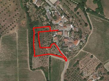 Terreno edificabile residenziale e agricolo di 5.8