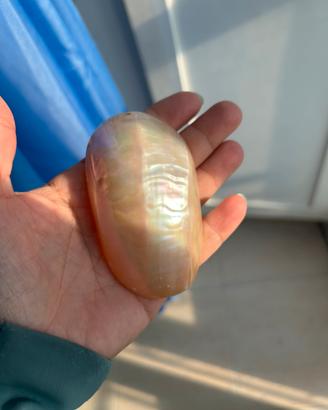 Oggetti in madreperla