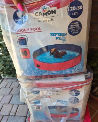 piscina per cani