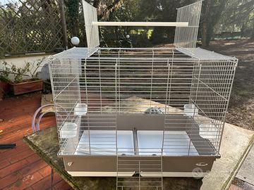 Gabbia IMac wilma per pappagalli