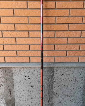canna Bolognese DAIWA tournament Italy 6 mt