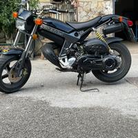 Suzuki street magic 50